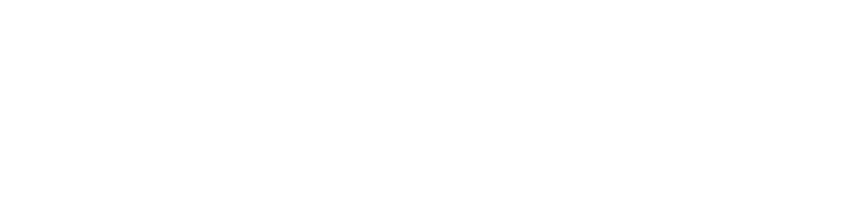 마운드 위의 포효하는 사자